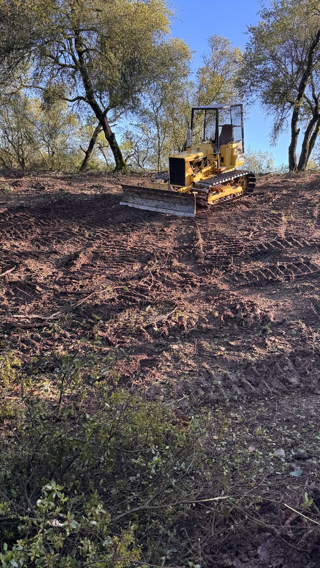 Dozer clearing brush and trees on a wooded hillside lot